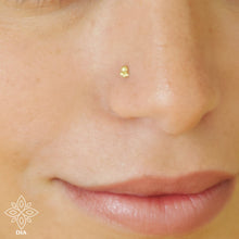Load image into Gallery viewer, 14k Solid Gold Flower Dot Nose Stud