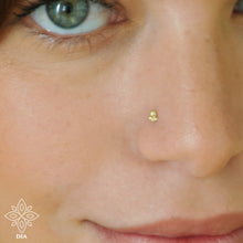 Load image into Gallery viewer, 14k Solid Gold Flower Dot Nose Stud
