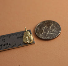 Load image into Gallery viewer, 14k Gold Ladybug Pendant