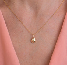 Load image into Gallery viewer, 14k Gold Ladybug Pendant