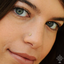 Load image into Gallery viewer, 14k Dainty Indian Nose Stud