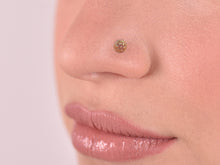 Load image into Gallery viewer, 14k Gold Round Flower Stud Earrings