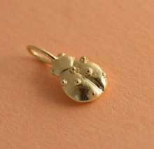 Load image into Gallery viewer, 14k Gold Ladybug Pendant