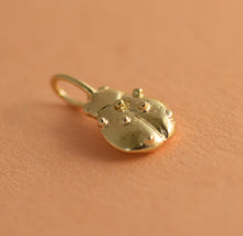 Load image into Gallery viewer, 14k Gold Ladybug Pendant