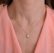 Load image into Gallery viewer, 14k Gold Ladybug Pendant