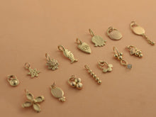 Load image into Gallery viewer, 14k Gold Tiny Charm Pendant