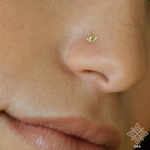 Load image into Gallery viewer, 14k Solid Gold Dainty Leaves Nose Studs
