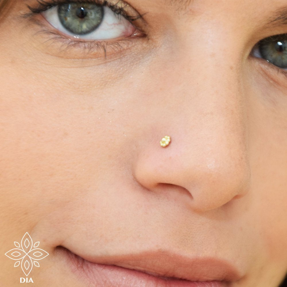 14k Gold Flower Screw Nose Stud - Mila