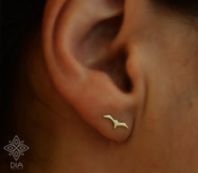 Load image into Gallery viewer, 14K Solid Gold seagull Stud Earrings -  Aurora
