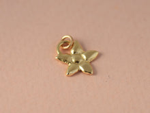 Load image into Gallery viewer, 14k Gold Dainty Flower Pendant
